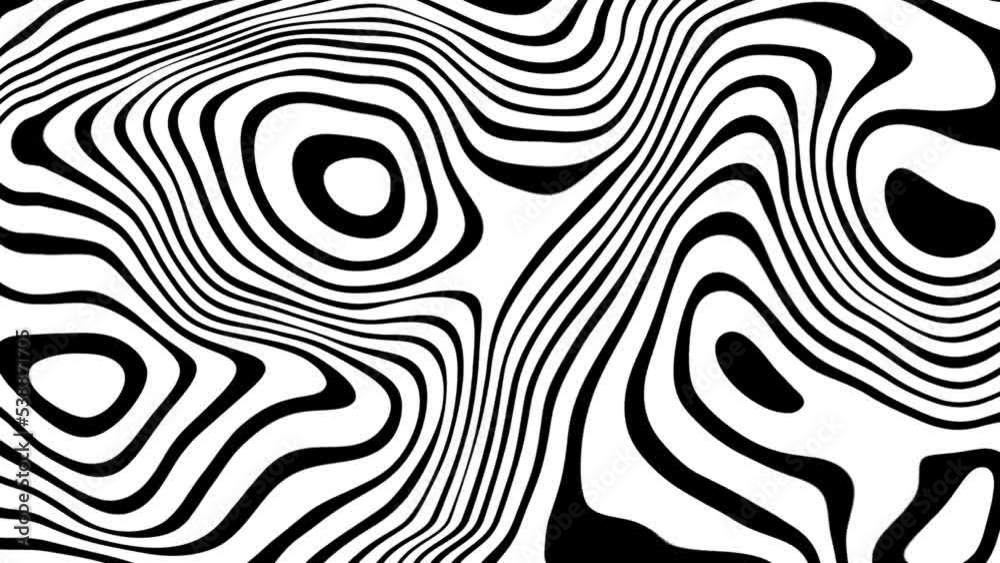 Striped wave animation. Black white liquid line animated pattern