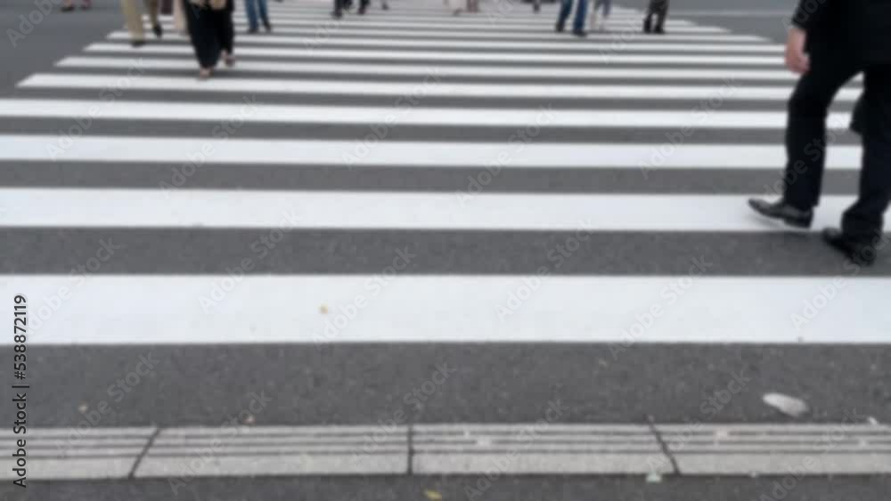 休日の表参道 横断歩道 たくさんの人々 ぼかし スロー 休日の表参道 横断歩道 たくさんの人々 ぼかし スロー