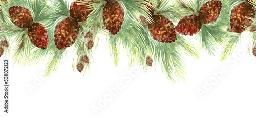 Watercolor illustratsion pine green branch with cone. Illustration in cartoon style. Board seamless photo