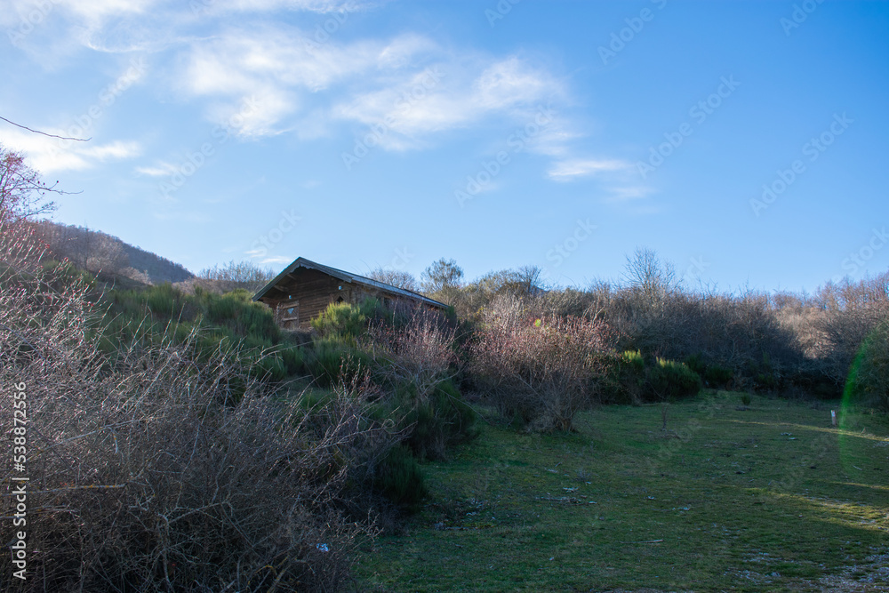 log cabin in the middle of the mountains with blue sky