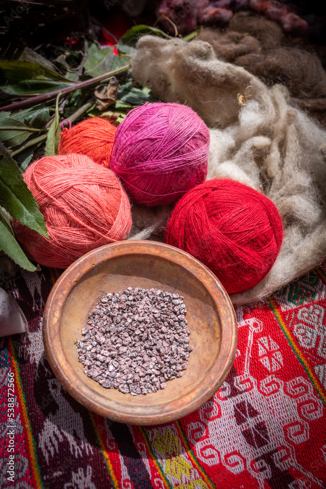 Cochineal (dead bodies of female cochineal insects) is traditionally used to dye yarn red, Sacred Valley, Cusco, Peru Cochineal (dead bodies of female cochineal insects) is traditionally used to dye yarn red, Sacred Valley, Cusco, Peru