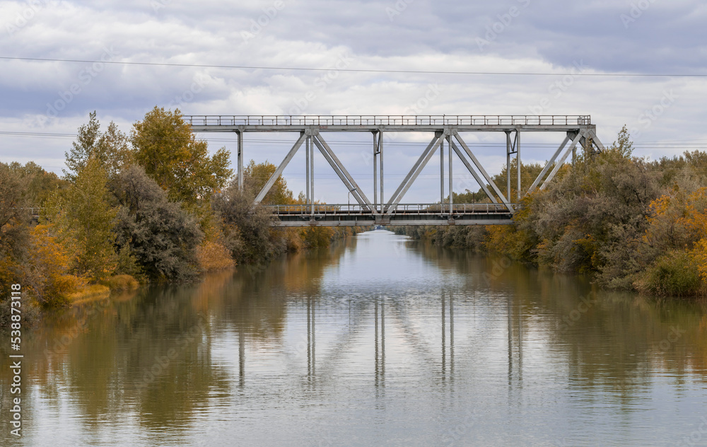 railway bridge over the river with trees
