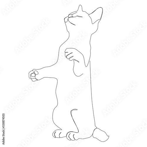 Continuous one line drawing of two cats in minimalism style. Cute