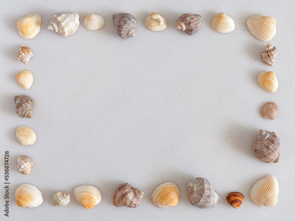 Obraz premium frame of seashells on gray background