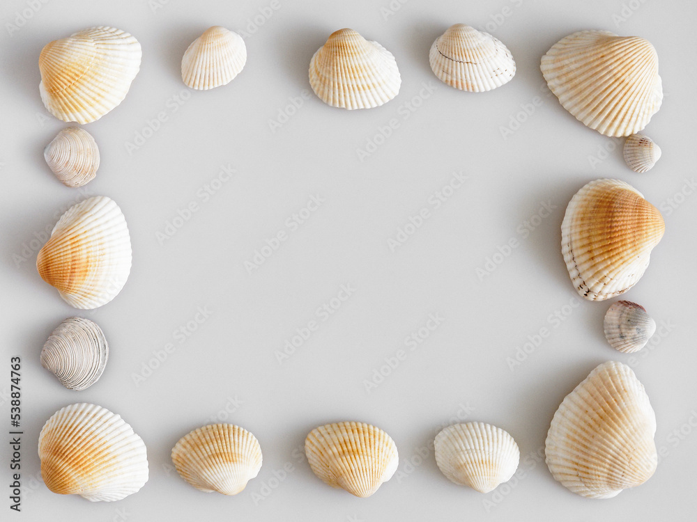 frame of white seashells frame of white seashells