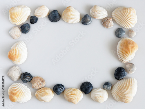 frame of white and blue seashells