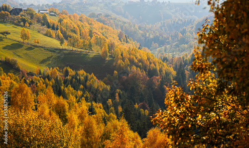 Autumn landscape. Amazing texture view of a forest in fall color. Beautiful sight with seasons changes over the year. Great scenery image for background.