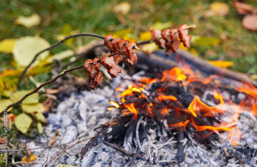 Detail view with bacon and meat roasting over the fire. Cooking by the fire. Food cooked on the embers, in the campsite, at the edge of the forest in the autumn landscape. Detail view with bacon and meat roasting over the fire. Cooking by the fire. Food cooked on the embers, in the campsite, at the edge of the forest in the autumn landscape.