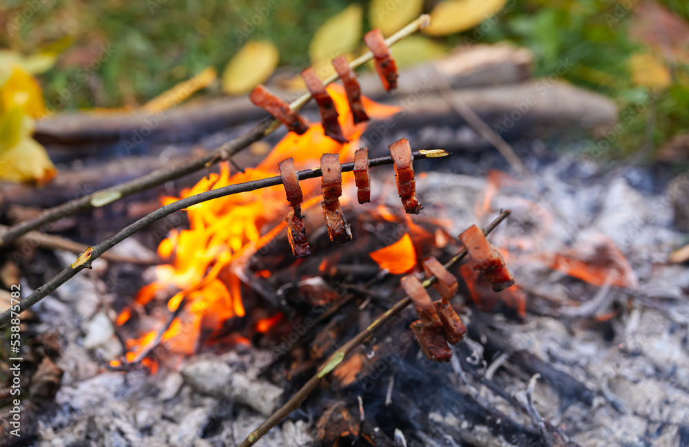 Detail view with bacon and meat roasting over the fire. Cooking by the fire. Food cooked on the embers, in the campsite, at the edge of the forest in the autumn landscape. Detail view with bacon and meat roasting over the fire. Cooking by the fire. Food cooked on the embers, in the campsite, at the edge of the forest in the autumn landscape.