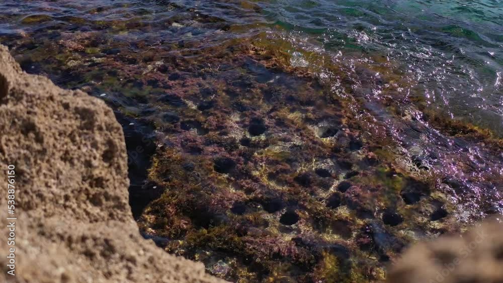 Fondo del Mar Mediterraneo
Erizos de Mallorca
Aguas transparentes Cala Sant Vicenç Fondo del Mar Mediterraneo
Erizos de Mallorca
Aguas transparentes Cala Sant Vicenç