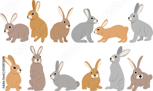 rabbits cute set on white background  isolated vector