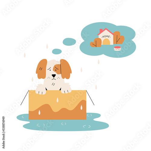 Homeless puppy in a box