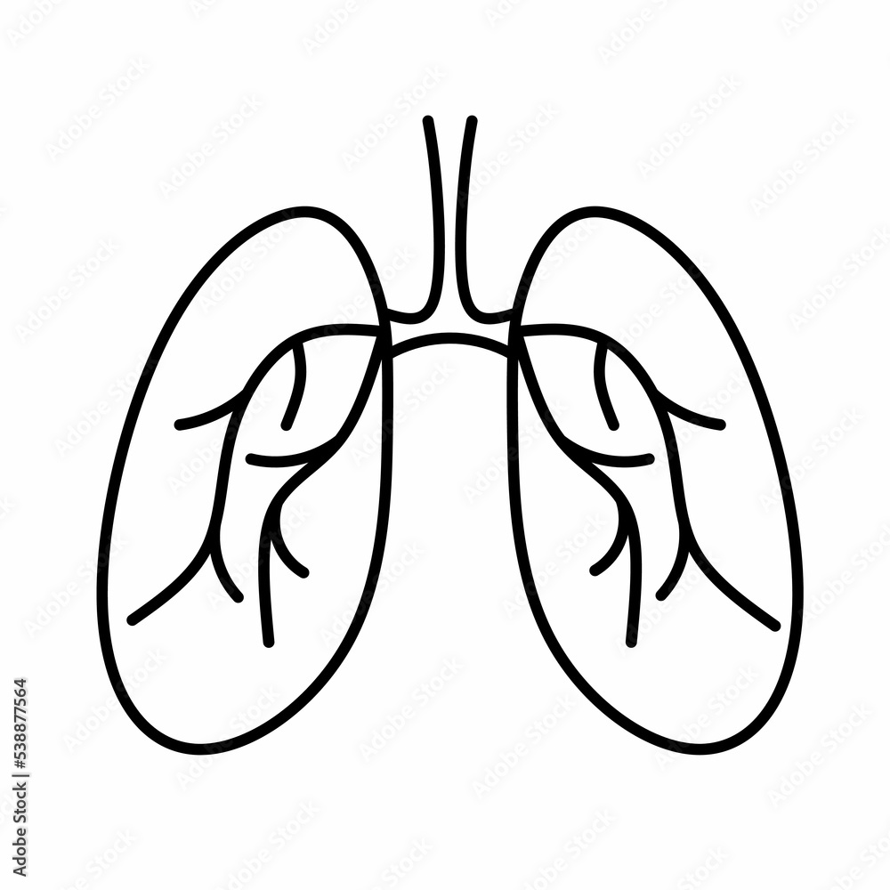 Vector illustration of respiratory tract anatomy line icon. Pictogram ...