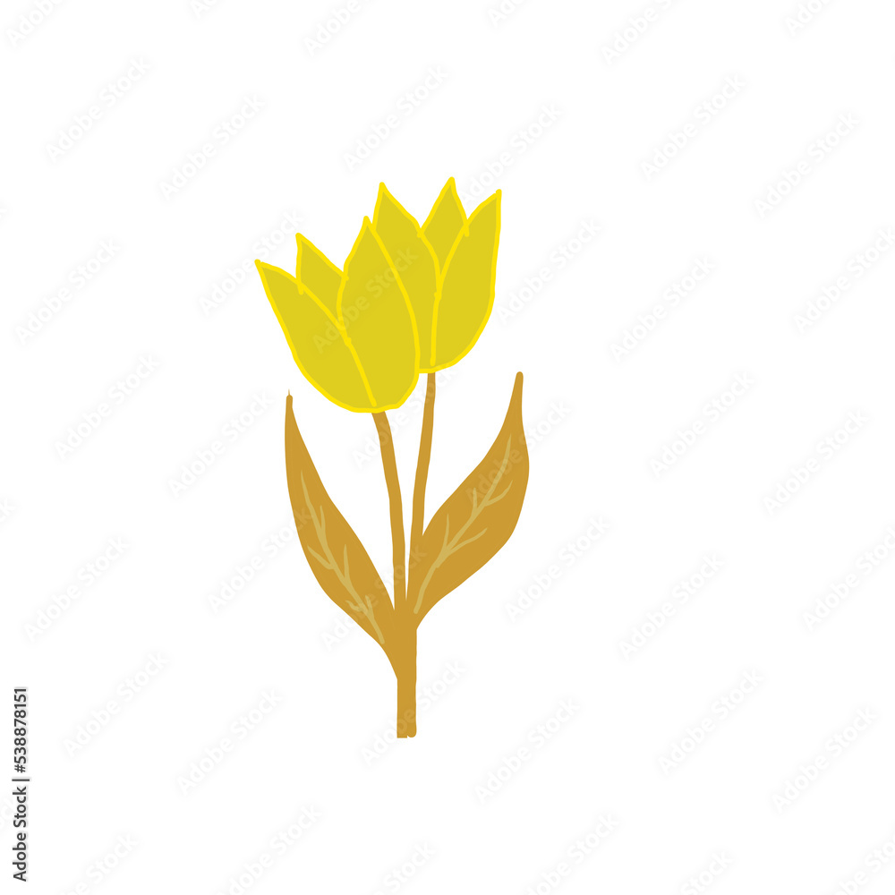 illustration of yellow tulip flower isolated on transparent background png illustration of yellow tulip flower isolated on transparent background png
