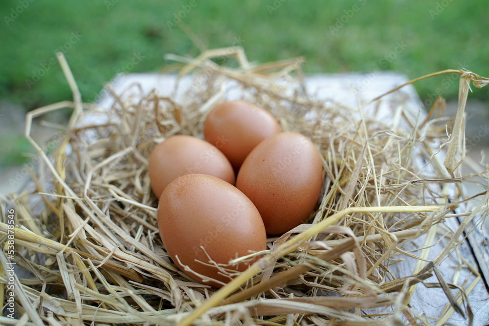 Fresh chicken eggs on dry straw and wooden table in rural village farm in Thailand. Fresh chicken eggs on dry straw and wooden table in rural village farm in Thailand.
