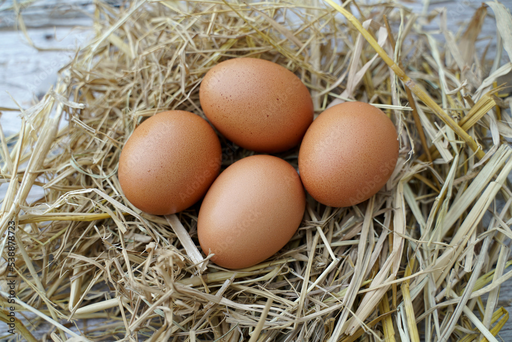 Fresh chicken eggs on dry straw and wooden table in rural village farm in Thailand. Fresh chicken eggs on dry straw and wooden table in rural village farm in Thailand.