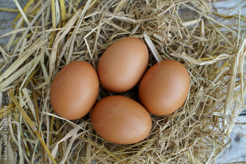 Fresh chicken eggs on dry straw and wooden table in rural village farm in Thailand.