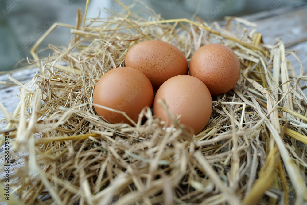 Fresh chicken eggs on dry straw and wooden table in rural village farm in Thailand. Fresh chicken eggs on dry straw and wooden table in rural village farm in Thailand.
