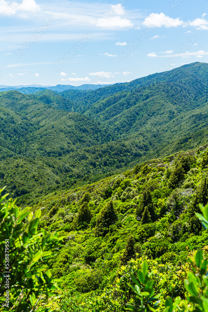 Fototapeta premium ニュージーランド ウェリントンのワイヌイオマタのキャトル・リッジ・トラックからの風景