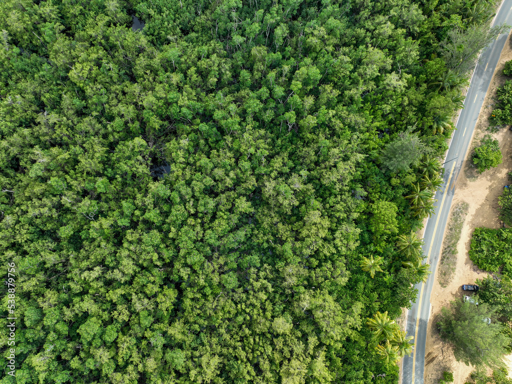 Aerial view of road seen from drone