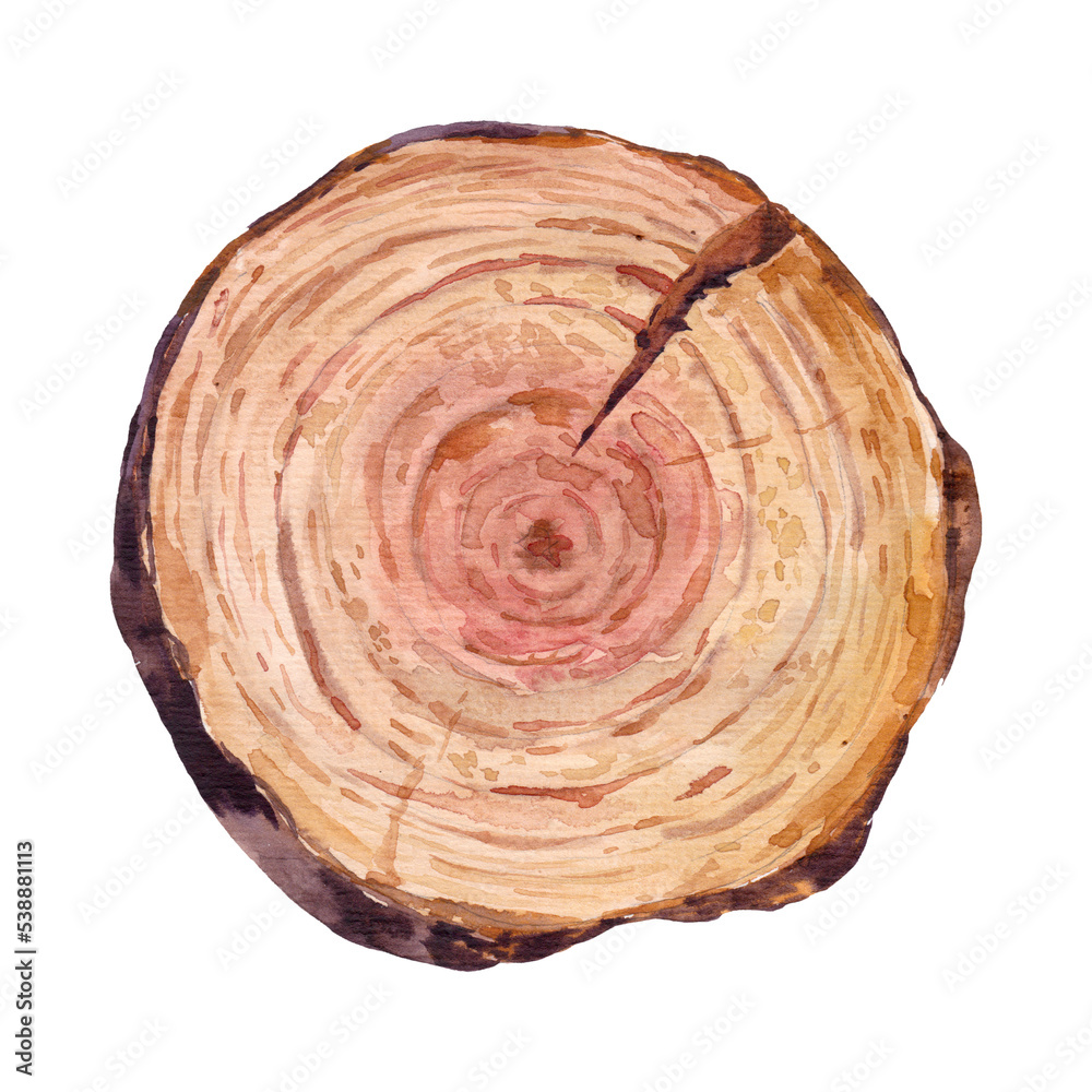 Wood Png Format With Transparent Background Wood Png Format With Transparent Background