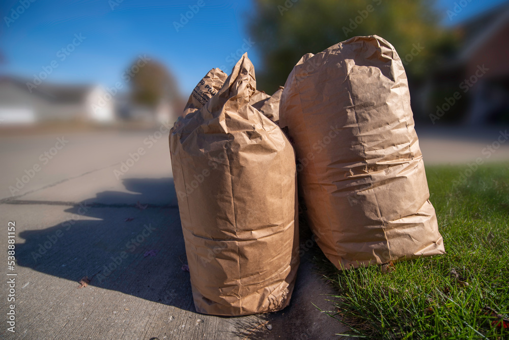 Yard Waste What It Is and What to Do With It  Granger