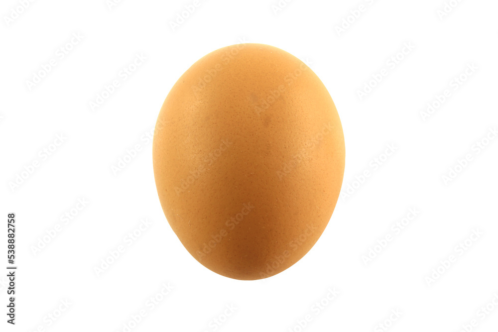 one fresh chicken egg for cooking isolated on white background. one fresh chicken egg for cooking isolated on white background.