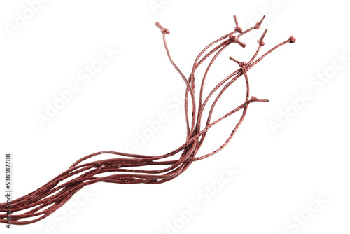 brown leather rope isolated on white background.