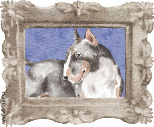 Bull terrier dog portrait