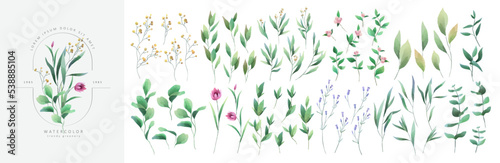 Set of luxury green leaves and flowers elements in watercolor style. Aquarelle trendy greenery branches and blooming. Vector isolated on white background for Invitation, greeting