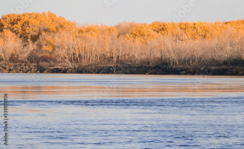 yellow trees on the river bank with beautiful sky