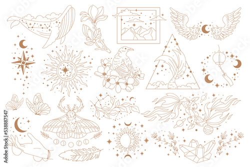 Hand drawn set of celestial bodies and mystic magical elements in vintage boho style