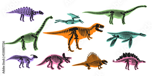 Silhouette dinosaur skeletons and bones on colorful shadows shapes set. Triceratops, tyrannosaurus