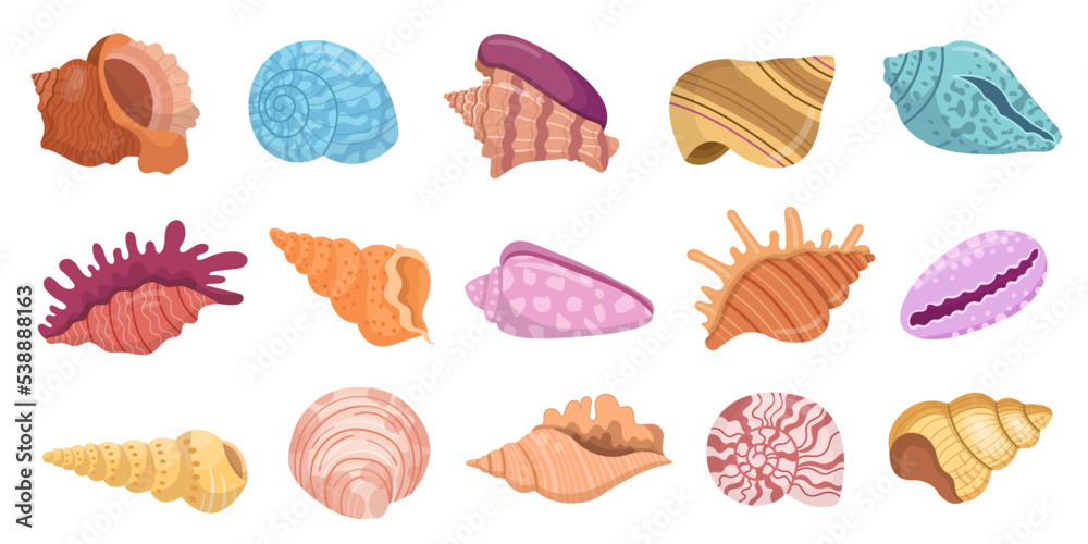 Seashells set. Various colorful mollusk sea shells, starfish and coral. Underwater flora, sea plants