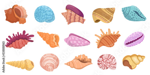 Seashells set. Various colorful mollusk sea shells, starfish and coral. Underwater flora, sea plants