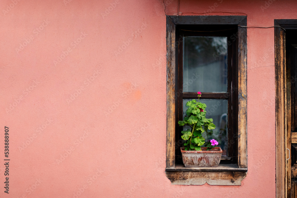 historic old house, wooden glass frame with violet flower and pink blank wall for copy space