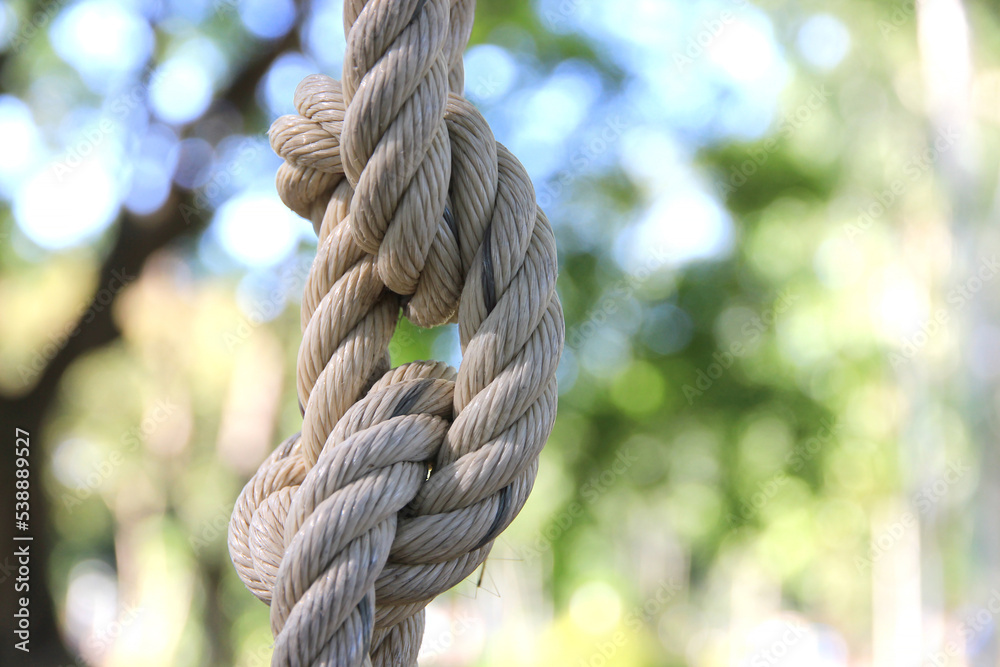 Tie a large rope in an orderly way to hold things firmly. Tie a large rope in an orderly way to hold things firmly.