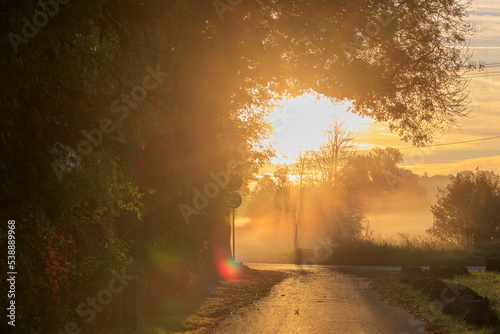 colorful sunrise over foggy meadows at a dirt road in Augsburg city forest near Siebenbrunn
