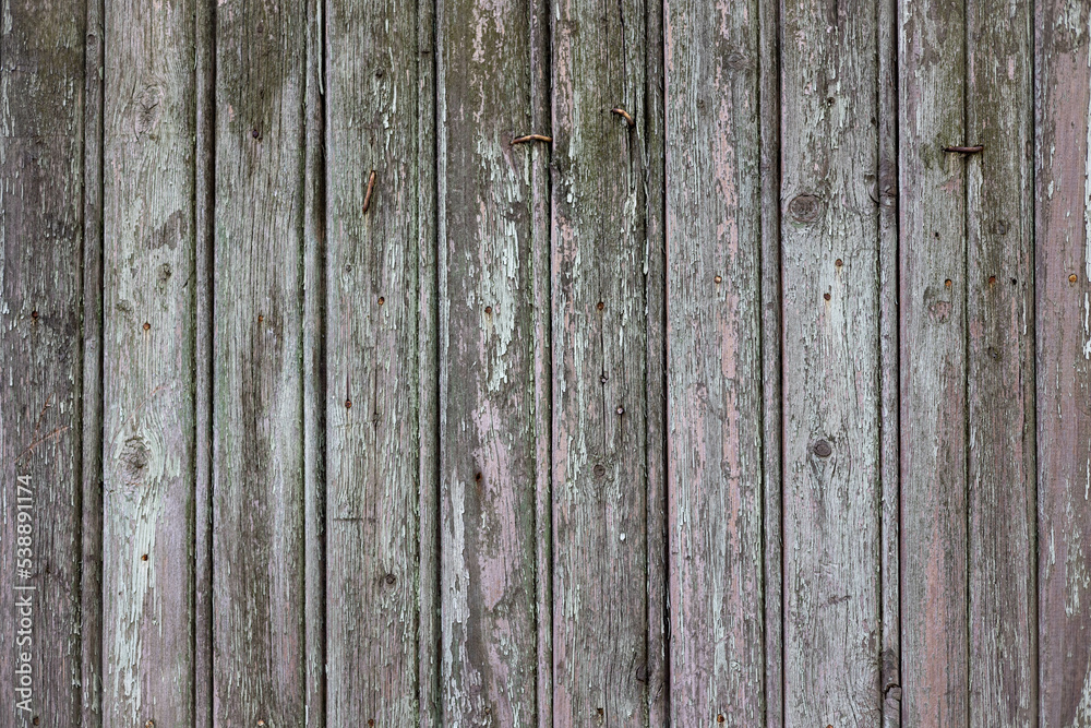 Fototapeta premium Old board panel. Wooden background.