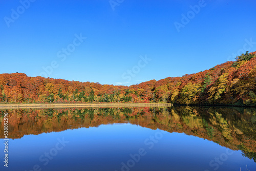秋の八幡平、後生掛の大沼の紅葉のリフレクション © tatsuya.sato