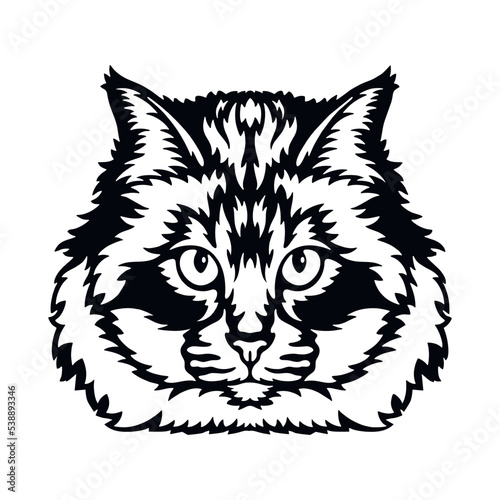 Holy Burma Cat Vector, Peeking Cats, Cats Breed, Pet Vector portrait, Cats Head