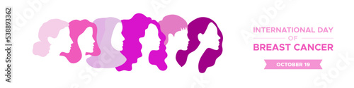 International Day of Breast Cancer. October 19. Portraits of different women in profile. Pink tones. Horizontal banner. Vector illustration, flat design © frikota