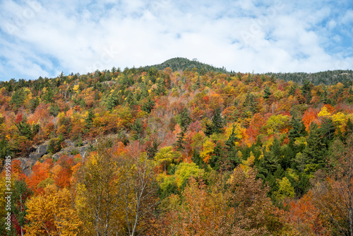 Original name(s): Autumn view into the side of a mountain in the Adirondacks