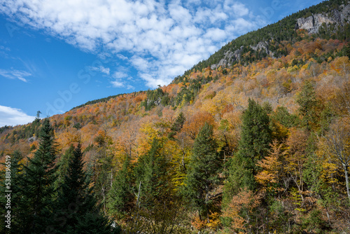 Autumn view into the side of a mountain near Whiteface in the Adirondacks © Guy