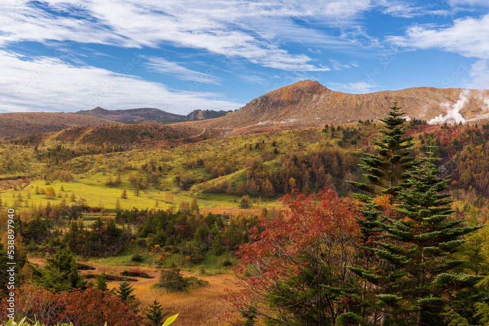 Naklejka premium 秋の芳ヶ平紅葉トレッキング