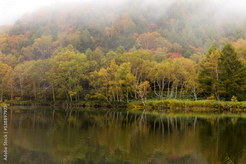 秋の志賀高原木戸池に映り込む紅葉