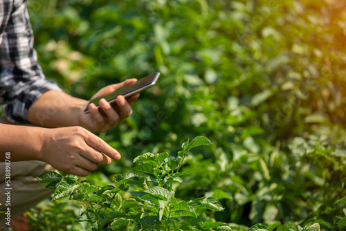 Hands of farmer, Agriculture technology farmer man using tablet Modern technology concept agriculture.