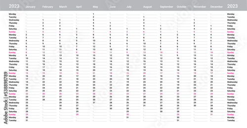 Simple grey linear calendar yearly planner template for 2023 with vertical month grid and highlighted sundays. Wall monthly cycle planner in a minimalist style. Agenda organizer. Week starts on monday