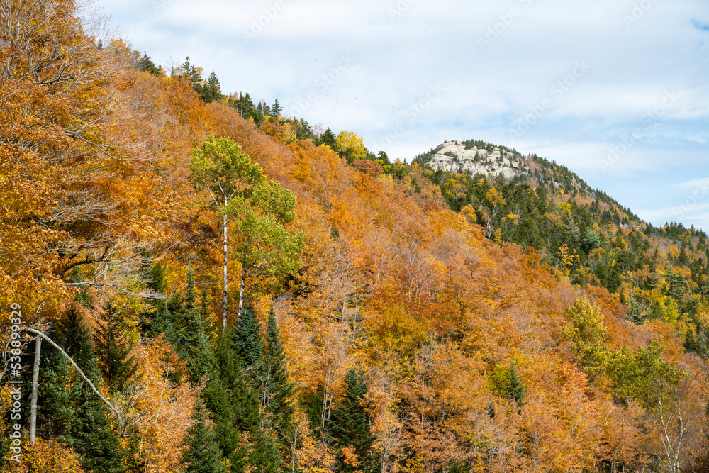 Close up view of trees in autumn on the side of Whiteface Mountain