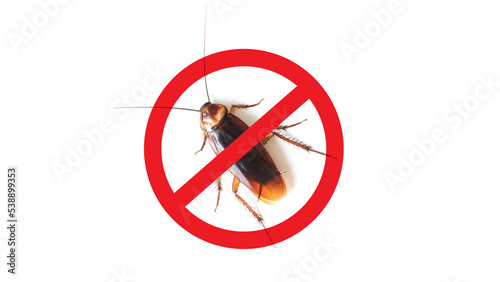 Anti cockroach, pest control. Stop insects sign.cockroach with caution sign pest control in red forbidding circle photo